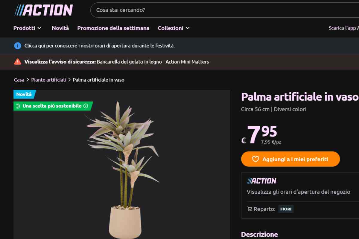 palma action a meno di 10 euro