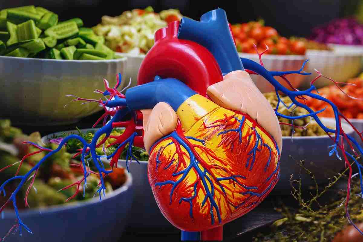 il cibo per la salute arteriosa