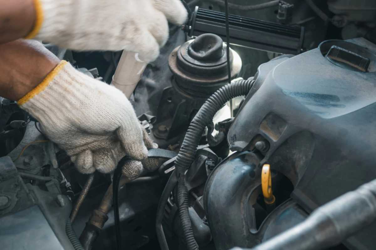 cinghia di distribuzione