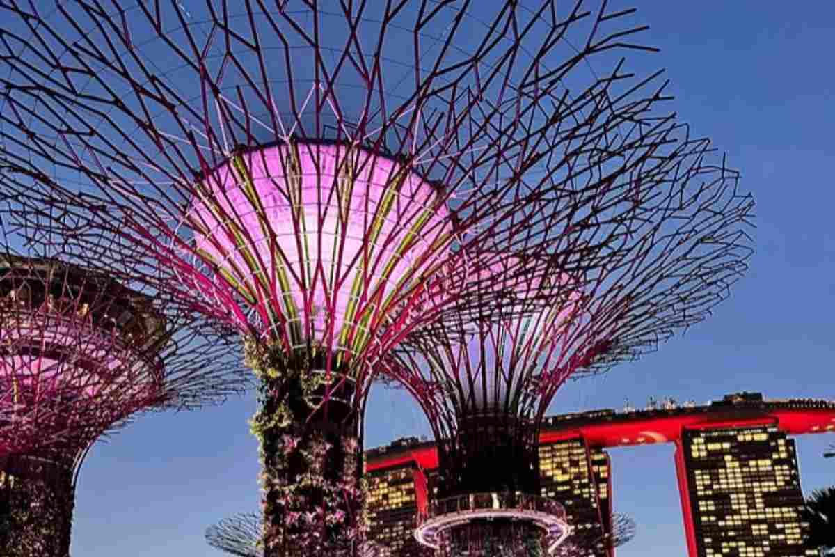 pianeta di avatar: scopri i gardens di singapore