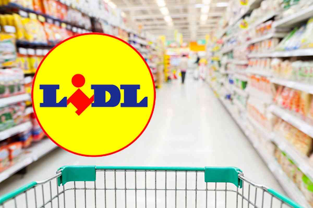 computer lidl legno a 3.99 euro