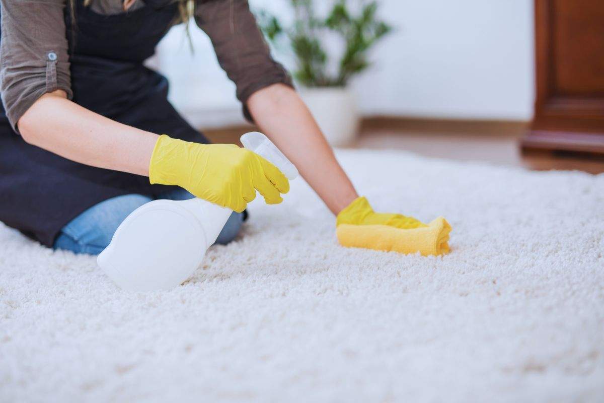 pulizia dei tappeti
