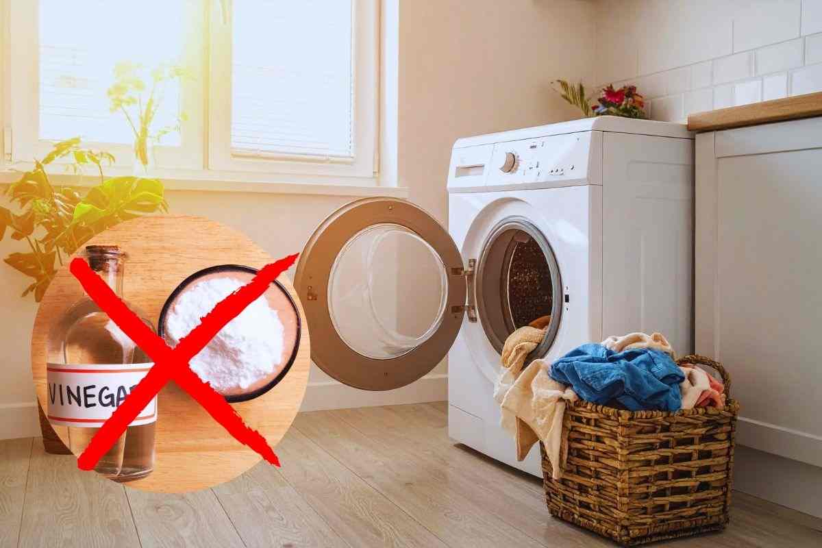 come eliminare la muffa dalla lavatrice