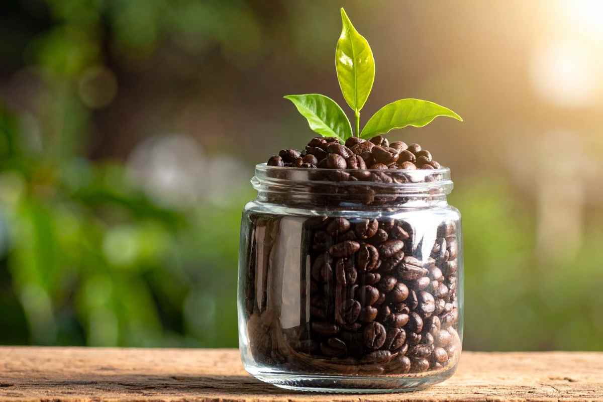 barattolo vetro riciclo