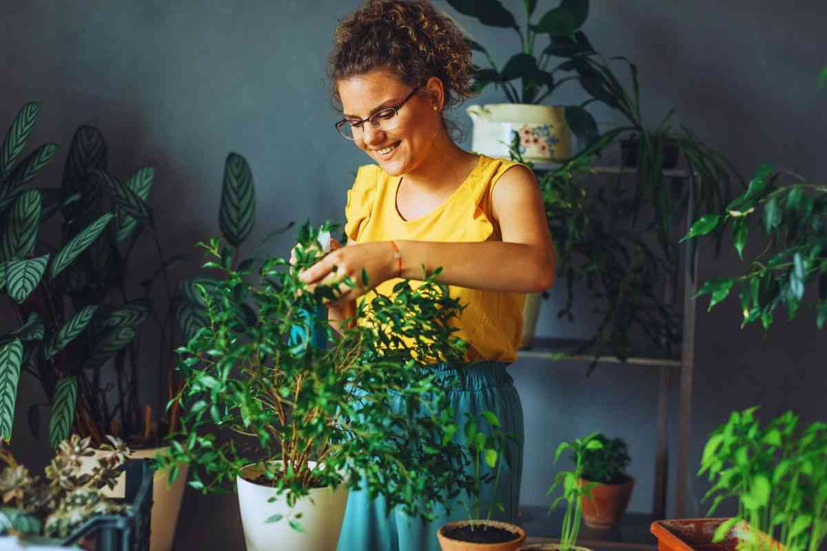 il trucco per la cura delle piante