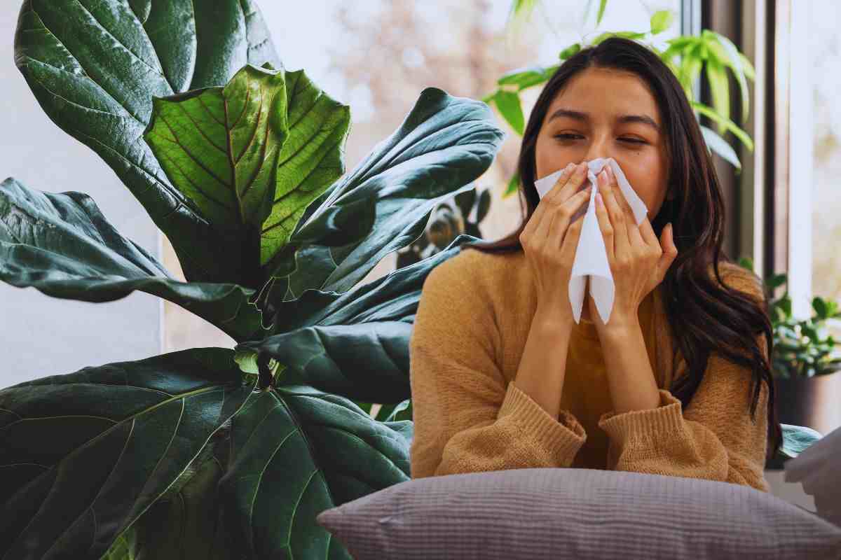 piante in casa e congestione nasale