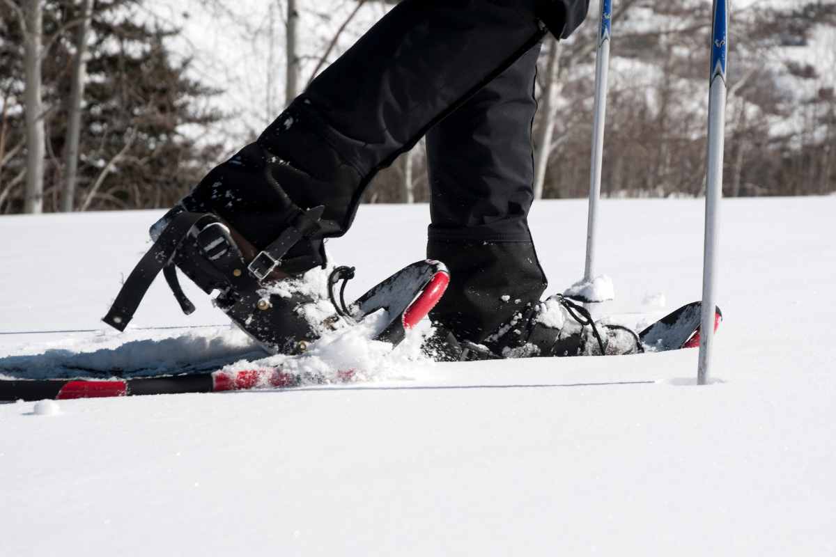 15 percorsi per ciaspolare in Piemonte senza incontrare nessuno