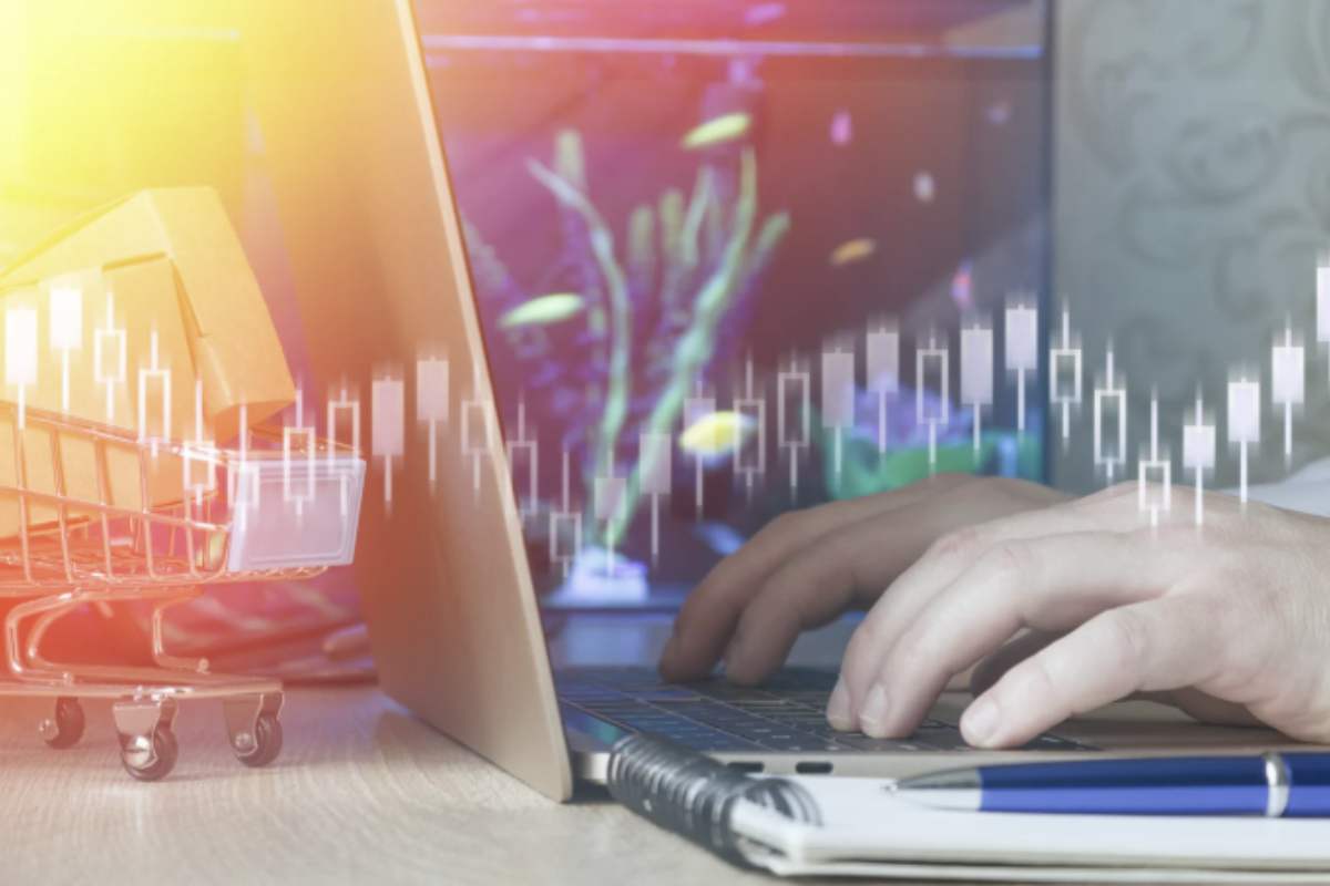 La crescita del suo valore, particolarmente accentuata nel quarto trimestre del 2025, ha attirato l’attenzione di utenti