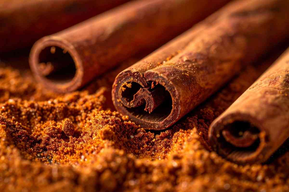 astrologi 2026 i rituali da compiere per avere fortuna