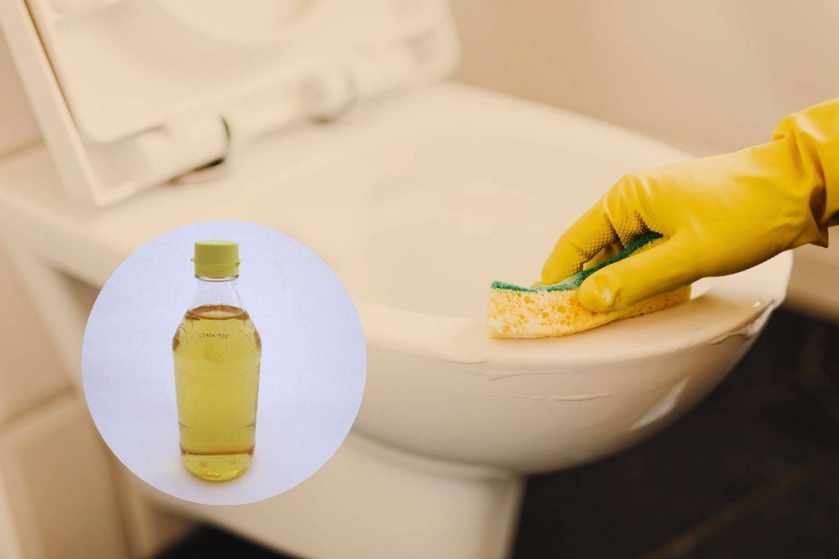 perchè non usare l'aceto nel wc