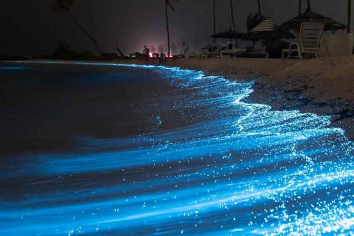 dove vedere la spiaggia blu